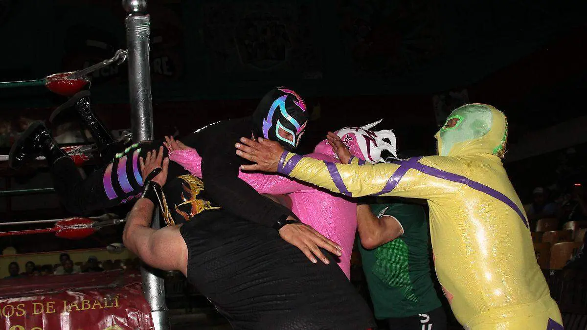 LUCHAS WEB